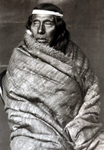 Cacique Mulato