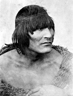 Tenenesk