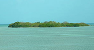 Cayo Island