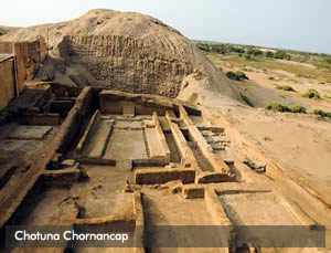 Chotuna Chornancap