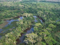 Llanos de Moxos