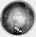 Juego Carozos de Melocotón