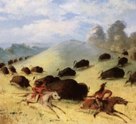 Galería de Imágenes