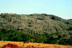 Galería de Imágenes