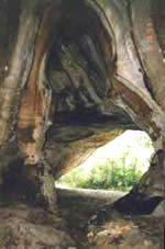 caverna