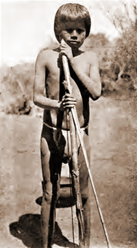 Chané