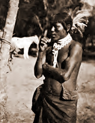 Chulupi