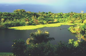 Río Solimões