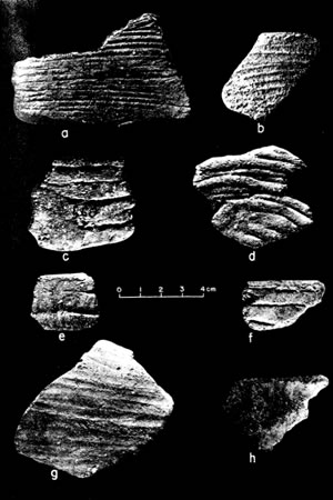 Arqeuología Fase Mina