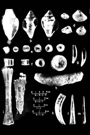 Arqueología Fase Mina