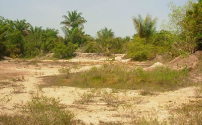 Panorama en noviembre de 2004