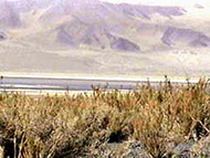 Laguna Blanca
