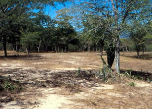 Sitio Horno.