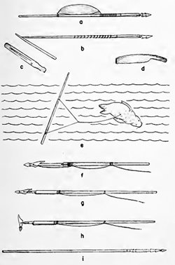 Figura 2