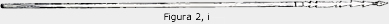 Figura 2, i.