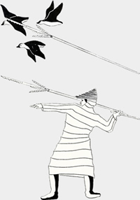Figura 5